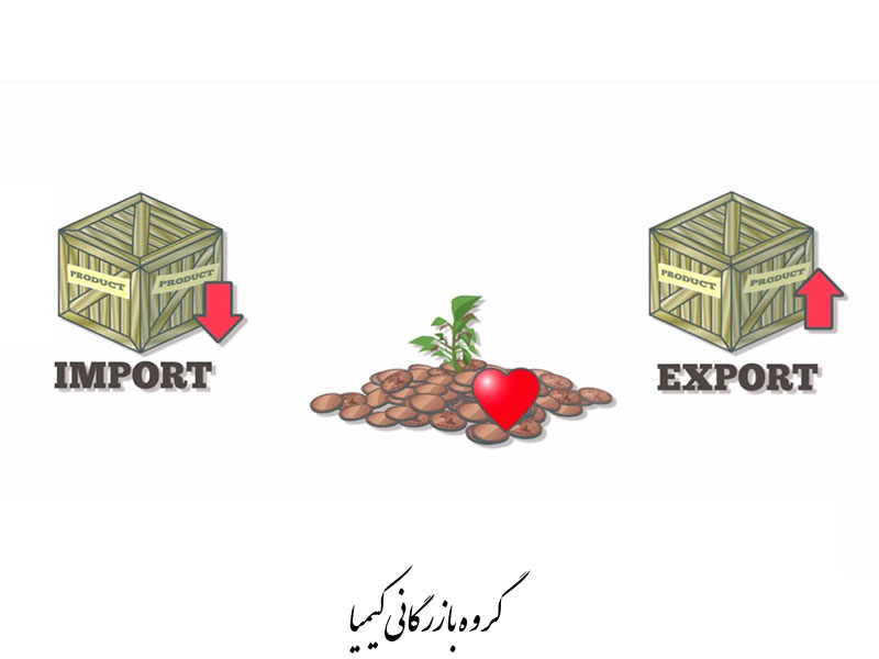 importing-and-Exporting-kimia.trade3