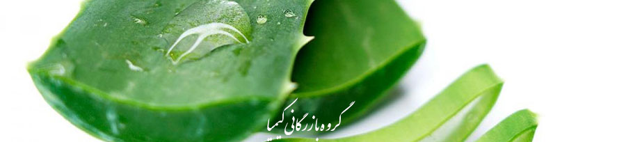 0125-صادرات آلوئه ورا به بازار اروپا-aloevera-kimia.trade