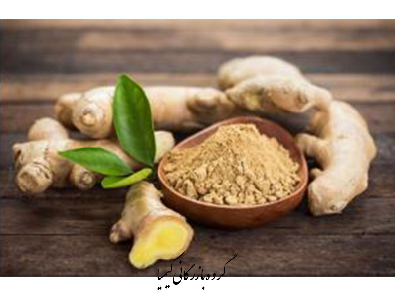 0129-صادرات آلوئه ورا به بازار اروپا-ginger_aloe-kimia.trade