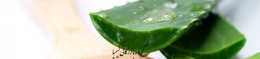 0126-پتانسیل بازار اروپا برای آلوئه ورا-laloevera-kimia.trade